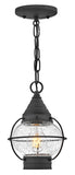 Cape Cod 1L convertible flush mount - 2203DZ
