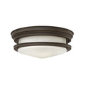 Hadley 2L Flush Mount - 3302OZ