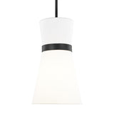 Clark 1L Pendant - 6590501-112