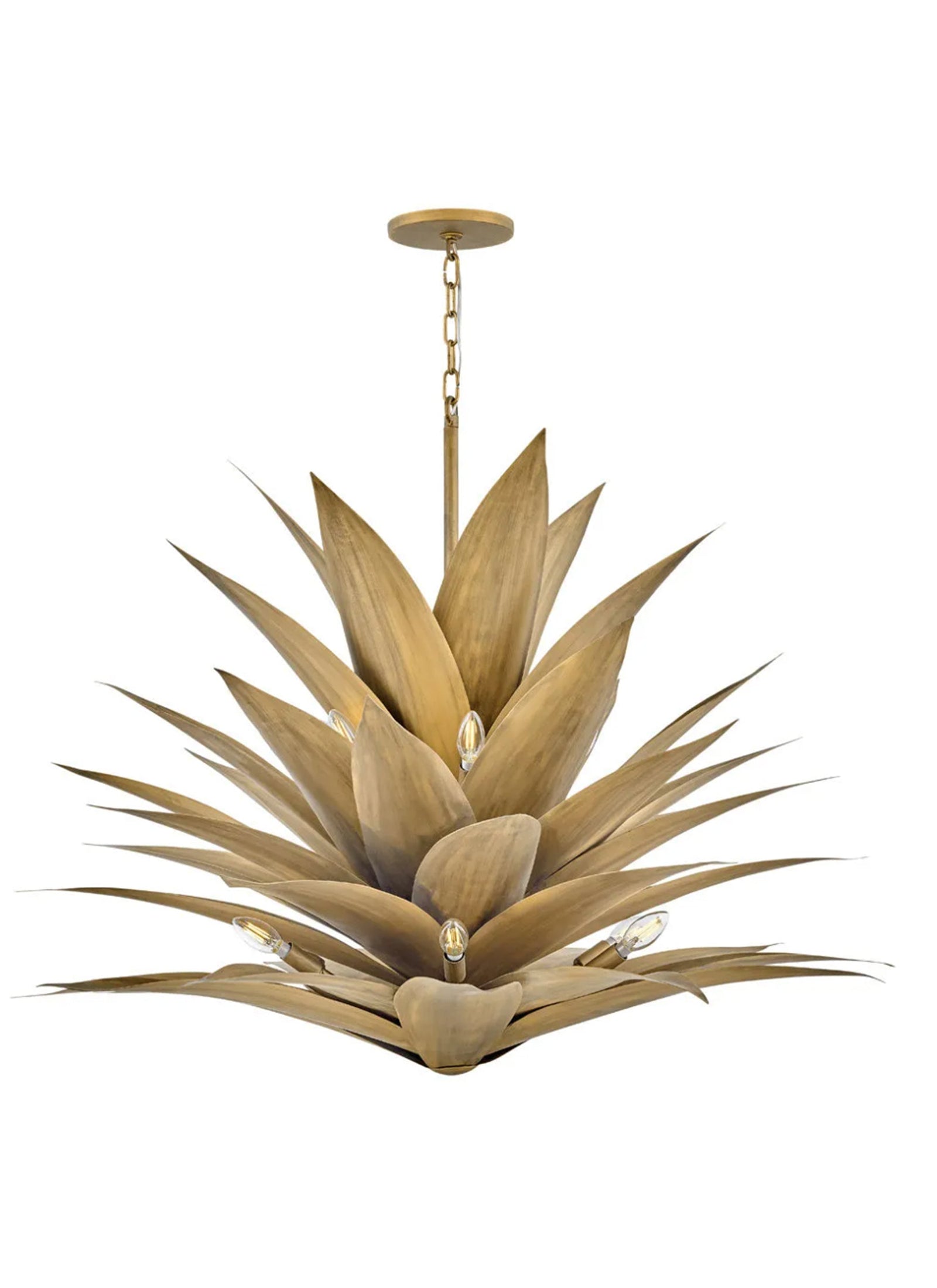 Agave 12L chandelier - FR30816BNG