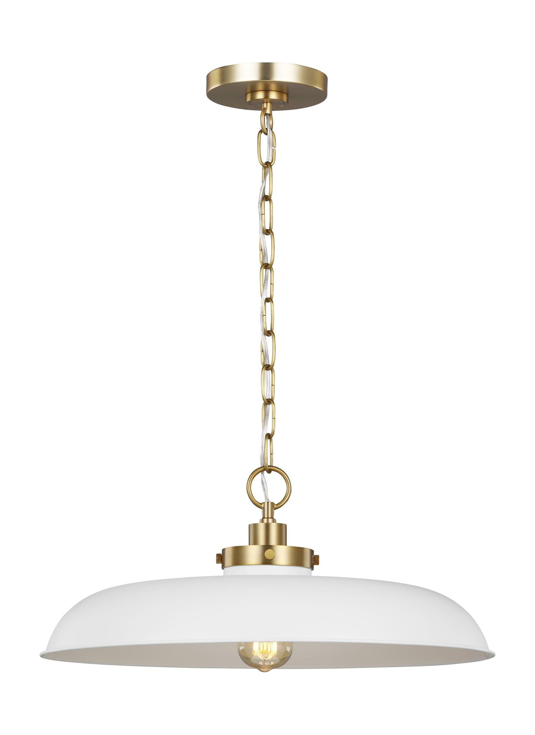 Wellfleet 1L Pendant- CP1231MWTBBS