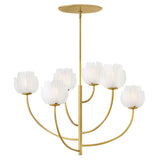 Fantine 6L chandelier - FR46896UB *