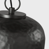 Buckner 1L Pendant - TFP1051AI