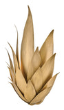 Agave 2L wall sconce - FR30810BNG