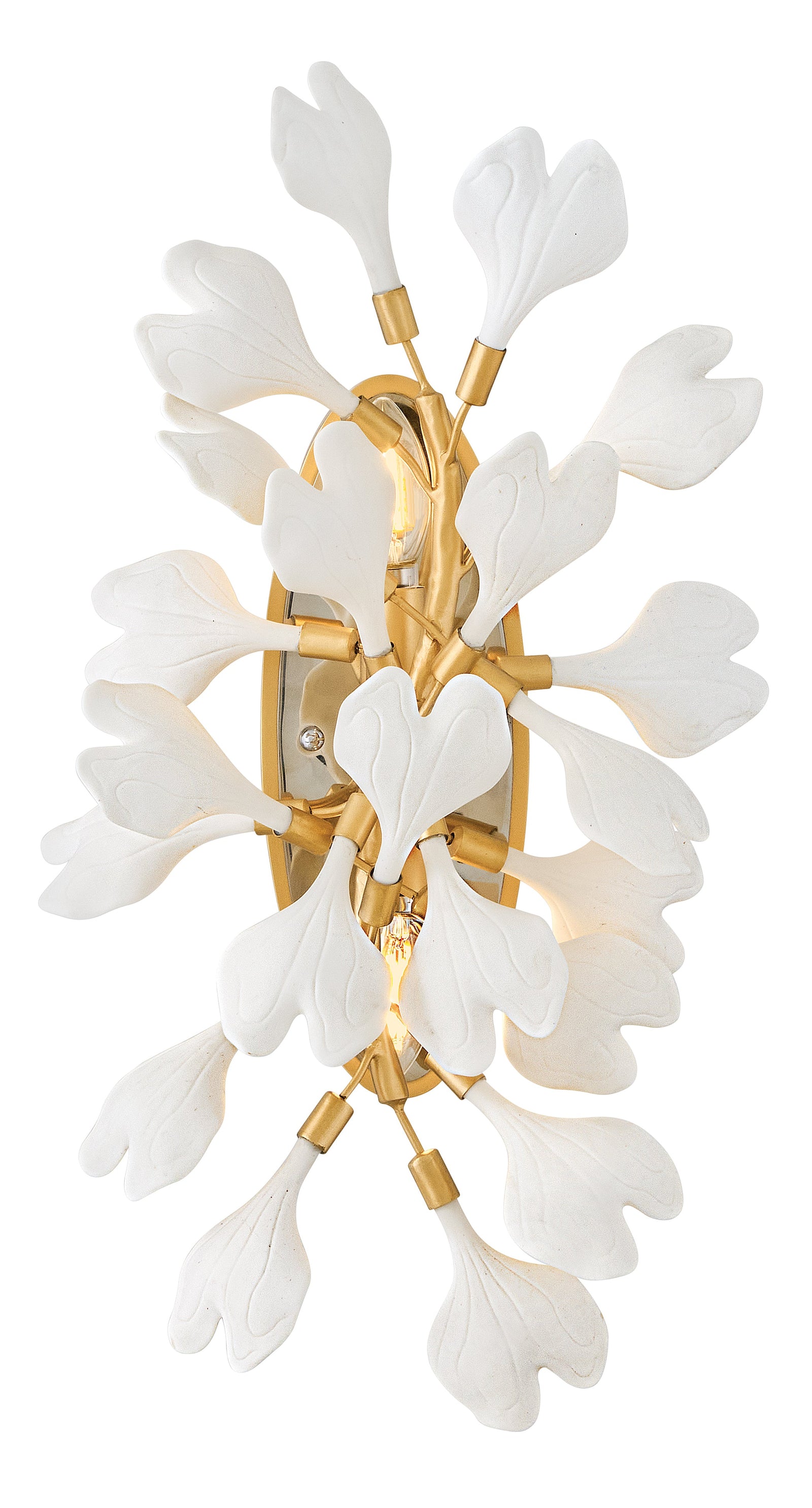 Audra 2L wall sconce - FR41930DG